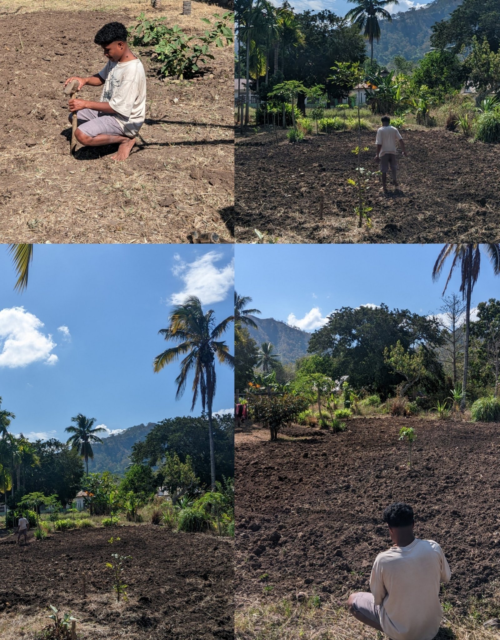Pembentukan Bedengan Hortikultura