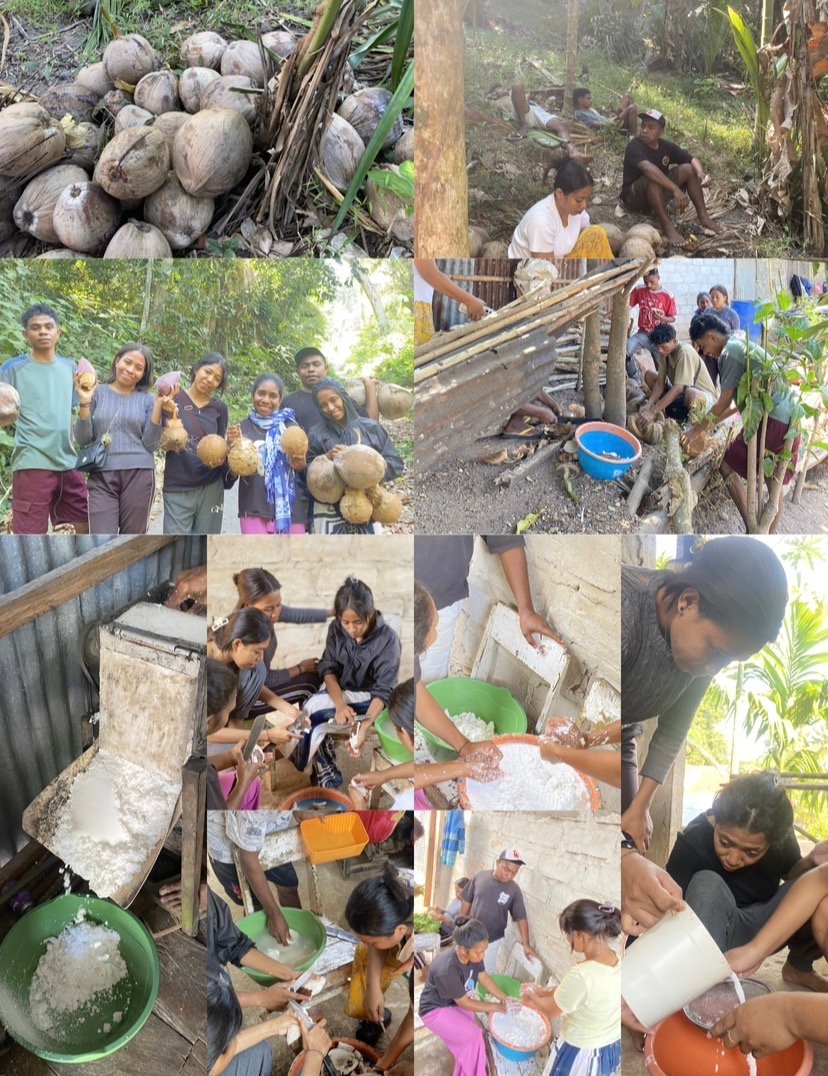 Mahasiswa KBPM Desa Kalondama Tengah Gelar Percobaan Pembuatan Produk VCO